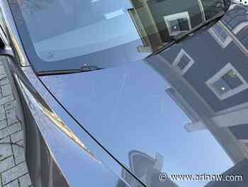 Swastika carved into hood of Tesla in Courthouse