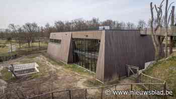 Waarom bouwen met stro of hennep nog zo gek niet is: “Met 10.000 hectare hennep kan je 10.000 huizen isoleren”