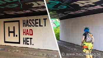 “Hasselt had het”: schepen laat kritische graffiti in Hasseltse fietstunnels overschilderen