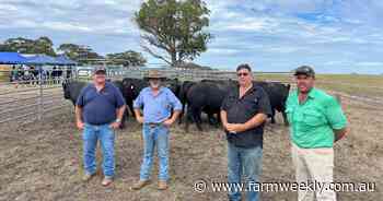 Tough seasonal conditions play part in southern bull sale results