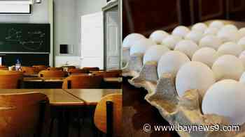 Full Episode: Teacher union president talks education department dismantling, and Florida's agriculture commissioner discusses eggs and deportations