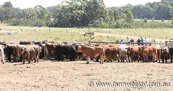 Schools Challenge to kick off Gate 2 Plate Challenge near Albany next week