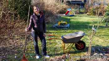 „Es sieht schlimm aus“: Profi gibt Tipps für Kleingarten-Anfänger