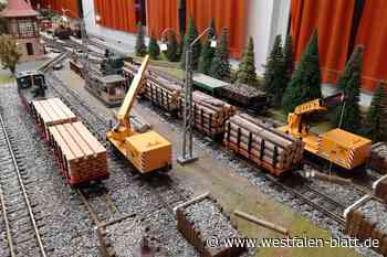 Vom Modelleisenbahn-Virus infizieren lassen