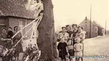 Kom kijken naar het verhaal van Oosterwijk