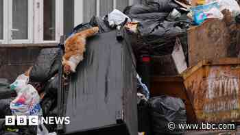 Giant rats and stench: There's no end in sight for 'Binmageddon'