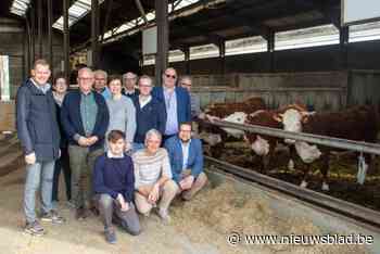 Oudste veemarkt van Vlaanderen komt voor 156ste keer terug: “Zelfs een prijskamp voor paaslammeren”