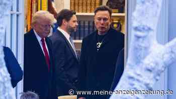 Trump zieht rote Linie: US-Präsident sieht Interessenkonflikte bei Musk