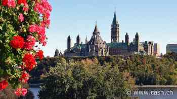 Kanadas Reaktion auf US-Zölle: Handelsbarrieren im eigenen Land abbauen