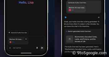 Gemini app rolling out Audio Overviews to Android, iOS