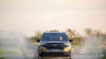 Subaru Forester im Test: Treuer Gefährte mit Offroad-DNA