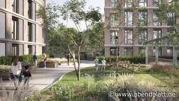 Neues Wohnquartier in Harburg geplant – mit Dachgarten für alle