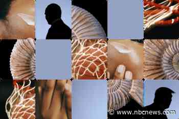 A university's historic mistake and an ugly creature gets its day in the sun: The news quiz