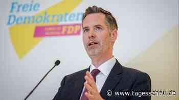 Die FDP zwischen Abstiegsangst und Comeback-Hoffnung