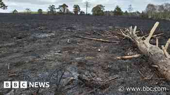 Extended powers aim to curb heathland wildfires