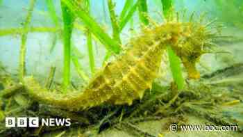 Could you be an 'on-the-water ambassador'?