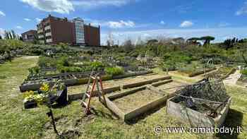 Orti urbani, distribuito nuovo materiale a 11 associazioni. Il Campidoglio ha investito 130mila euro