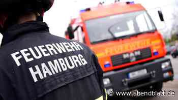 Umgestürzter Baum blockiert Schienengüterverkehr in Hamburg