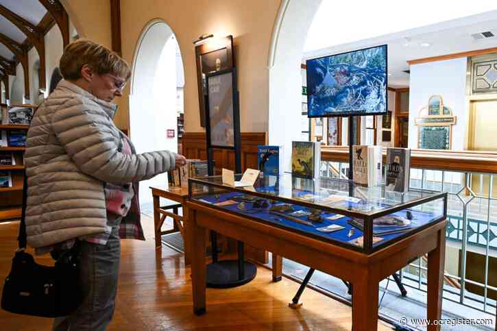 Viewers flock to web cam livestreaming Big Bear bald eagle’s nest to the world