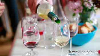 Tropfenfänger, Sektkühler, Dekanter: Auf dieses Weinzubehör können Sie getrost verzichten