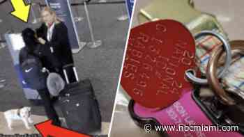 Woman accused of drowning dog in Orlando airport bathroom so she could board plane