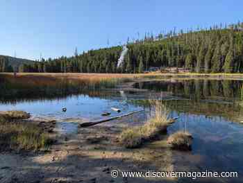New Hydrothermal Feature Emerges at Yellowstone National Park