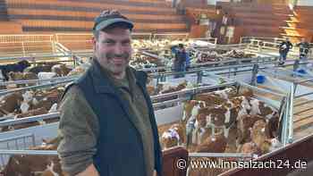 Verrückte Preise in verrückten Zeiten: Preise für Kälber gehen in Mühldorf durch die Decke