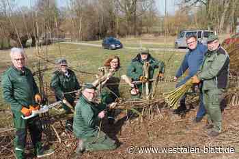 Kücken schlüpfen im Sackmuseum Nieheim: Kinder sind live dabei