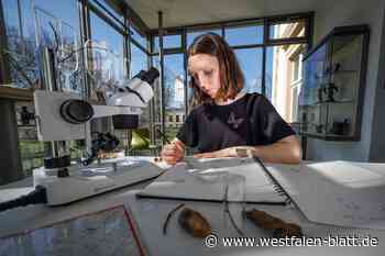 Das steckt in einem Häufchen Dreck