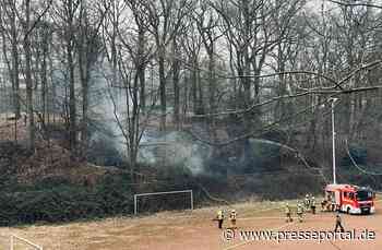 FW-E: Erster Waldbrand des Jahres 2025 - rund 1000 Quadratmeter Vegetation verbrannt