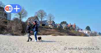 Abbruchkante rückt näher: Anwohner in Kiel-Schilksee hoffen auf Küstenschutz