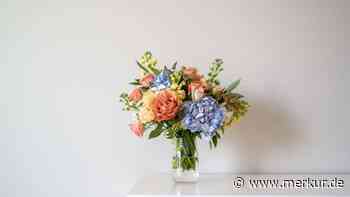 Schnittblumen: Mit diesen Tricks bleiben Rosen und Co. in der Vase länger frisch 