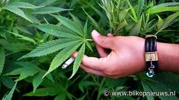 Hennepkwekerij in woning ontdekt na melding onwel wording