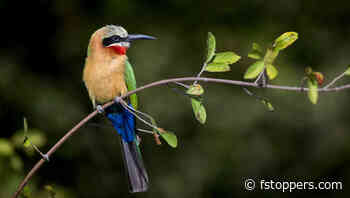 The Practical Guide to Shooting Raw vs. JPEG