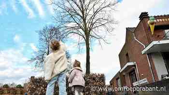 112-nieuws: kat laat zich niet vangen • bosbrandje mogelijk aangestoken