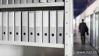 KOLUMNE - Wie der Bürokratieabbau ganz ohne Kettensäge funktioniert