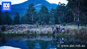 Noir television is taking hold in Tasmania