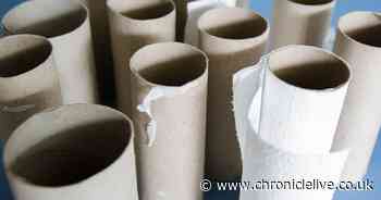 Don't throw away cardboard toilet rolls - they're a vital gardening tool