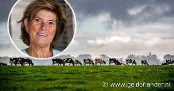 Gedeputeerde Ans Mol wacht heet avondje in Winterswijk nu er een protestbrief op d'r mat is gevallen