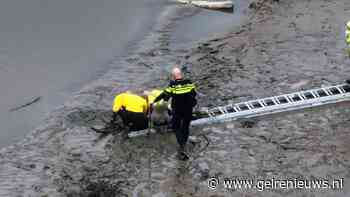 Kind zit vast in drijfzand, brandweer redt hem