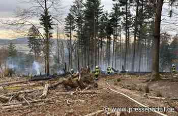 FW-AR: Waldbrand beschäftigt Feuerwehr stundenlang