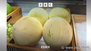 The Essex grocer who is selling £105 melons