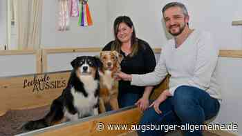 Diese Erpftingerin züchtet Hunde mit Leidenschaft und Herzblut