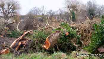 Planning reforms to threaten thousands of ecologists’ jobs, warns sector