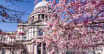 The best places you can see Cherry Blossom trees in London listed