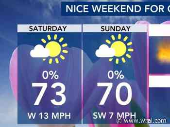 Sunny Sunday comes ahead of brief pollen relief Monday
