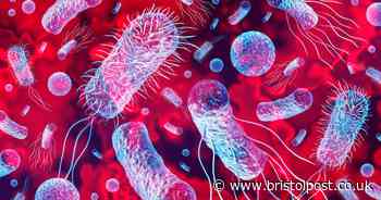 Contaminated hand soap product recalled due to infection risk