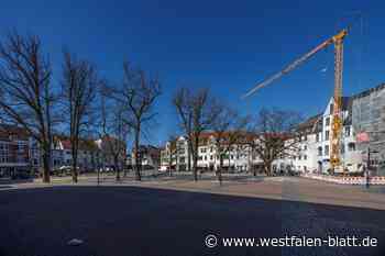 „Lupenraum“ Klosterplatz kann starten