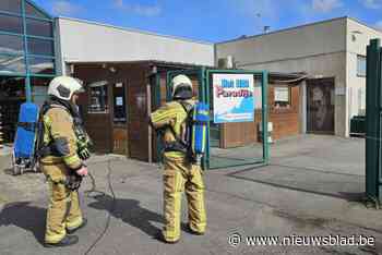 Brand uitgebroken in serre van leegstaande siervissenzaak: “Snel elektriciteit nodig, anders zijn de vissen morgen dood”