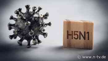 Ein Jahr H5N1 in US-Milchkühen: "Wir kennen das Ausmaß des Vogelgrippe-Ausbruchs nicht"